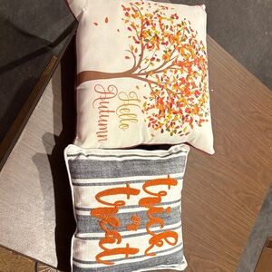 Autumn and Halloween Themed Decorative Pillows
